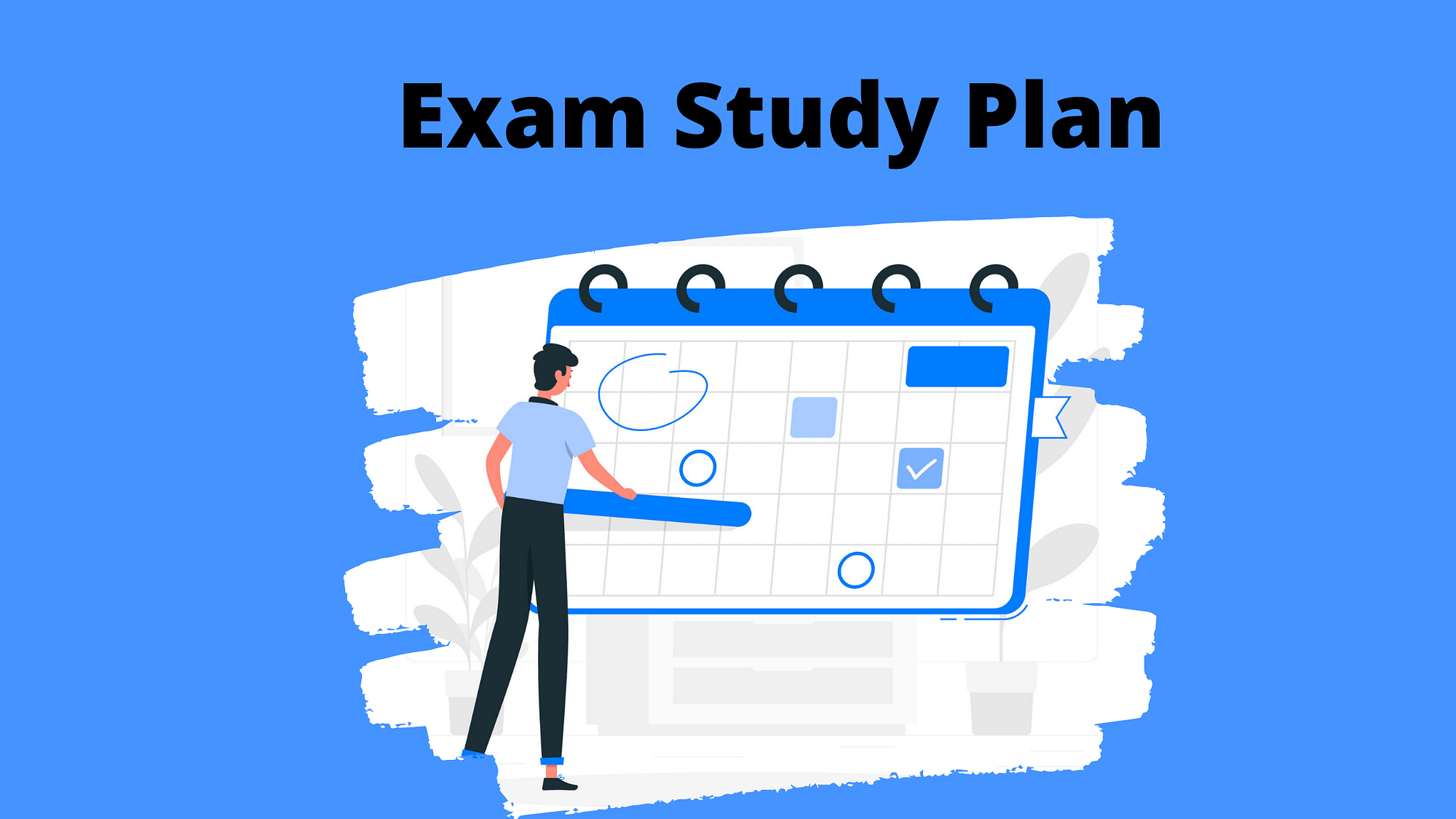 How to Make a Perfect Study Plan?