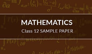 maths sample paper 12